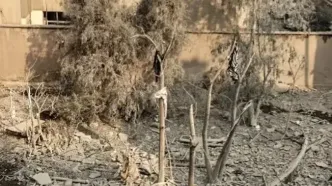 آخرین پیامک ملیکا، ۲۷ ساله از زیر آوار چه بود؟