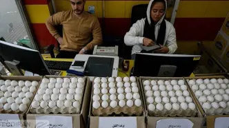 فوری/ قیمت جدید تخم‌مرغ اعلام شد