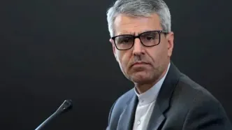 واکنش بقائی به درخواست صدر اعظم آلمان درباره پایان دادن به جنگ