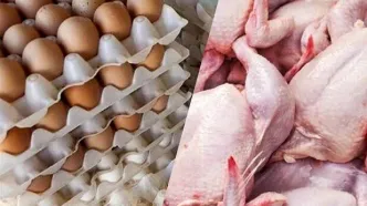 صادرات این اقلام تا اطلاع ثانوی ممنوع شد