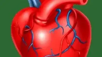 اگر مشکل قلبی دارید این ورزش ها را نکنید!