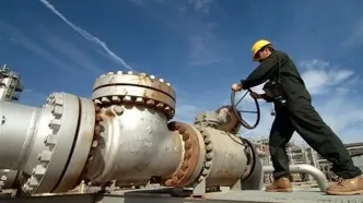 اولین واکنش به خبر احتمال قطعی گاز در کشور