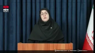 سخنگوی دولت: برج آزادی آسیب دید+ ویدئو