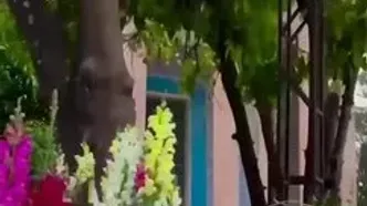 روزی برای شاعر انسان فراتر از زمان / روایت سعدی از دل جنگ تا زبان انسانیت
