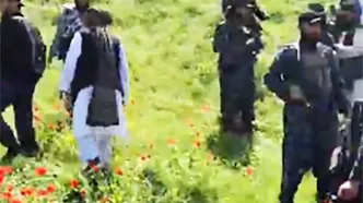 تصاویری از گشت‌وگذار اعضای طالبان در لاله‌زار