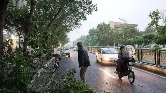 هشدار وزش باد و بارش باران در راه پایتخت