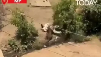 حمله پلنگ وحشی به اهالی یک روستا