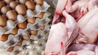 قیمت مرغ، تخم مرغ و گوشت اعلام شد