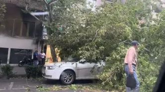 سرعت وزش باد در تهران به ۹۰ کیلومتر بر ساعت رسید!