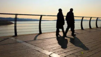 ماجرای حشرات ریز دریاچه شهدای خلیج فارس چیست؟