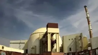آژانس اتمی: ایران فقط اجازه دسترسی به نیروگاه بوشهر را داده است