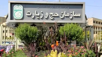 واکنش رئیس سازمان حج و زیارت به شایعه آزار و اذیت زائران ایرانی