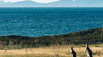 یک وب‌سایت گردشگری ساخته‌شده با هوش مصنوعی گردشگران را به چشمه آب‌گرم خیالی فرستاد