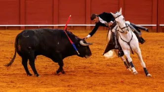 تصاویر؛ یک زن در دنیای مردانه گاوبازی