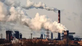 آلودگی هوا فقط ریه را هدف نمی‌گیرد؛ از کبد تا مثانه در معرض خطر