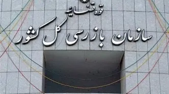 سازمان بازرسی کل کشور بر تصمیم‌های کمیته ارزی وزارت صمت نظارت می کند