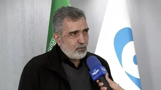 ببینید| کمالوندی: حمله به تاسیسات هسته‌ای جنایت جنگی است
