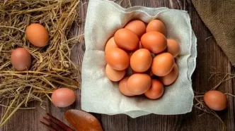 قیمت هر کیلو تخم‌مرغ چند شد؟