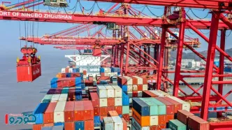 فوری / صادرات این محصولات از ایران ممنوع شد