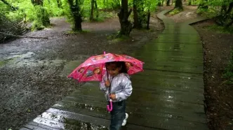 رگبار باران در شمال غرب و سواحل دریای خزر