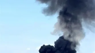 حمله به مرغداری، گلخانه و چادر عشایری در بوشهر