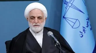 رییس قوه قضاییه دستور داد: دادستانی کل و سازمان بازرسی  به موضوع اینترنت پرو یا خط‌های سفید ورود کنند