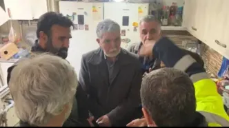 بازدید وزیر ارشاد از خانه سهیلا جوادی و علی سلیمانی