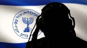 محمد معصوم شاهی و حامد ولیدی کیستند؟