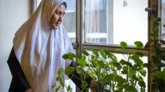 تاثیر تنهایی بر سلامت مغز زنان در شروع یائسگی