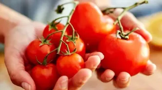 خاصیت جالب آب گوجه‌فرنگی که احتمالا نمی‌دانستید!