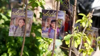 ۱۶۸ نهال مثمر به یاد شهدای میناب کاشته شد