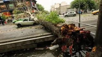 طوفان امروز تهران، چند شهروند را به بیمارستان کشاند