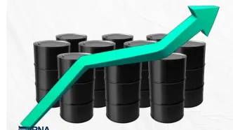 قیمت نفت صعودی شد