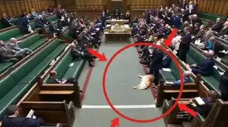 سگ خواب‌آلود در پارلمان بریتانیا خبرساز شد