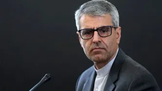 بقایی خطاب به اتحادیه اروپا: از کدام «حقوق بین‌الملل» سخن می‌گویید؟