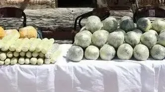 کشف مواد مخدر به همراه سلاح و مهمات
