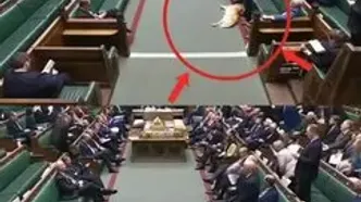 سگ خواب‌آلود در پارلمان بریتانیا خبرساز شد