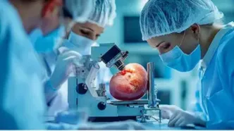 رد یک باور قدیمی درباره سنگ کلیه