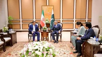 دیدار همتی با وزیر امور خارجه پاکستان