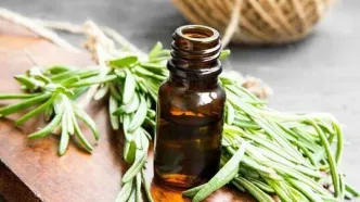 نرخ تعرفه‌های رسمی مرتعی در سال ۱۴۰۵ اعلام شد