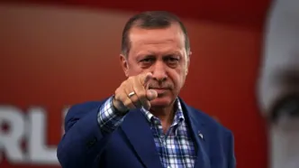 اردوغان استفاده از اسلحه در ترکیه را محدود می‌کند