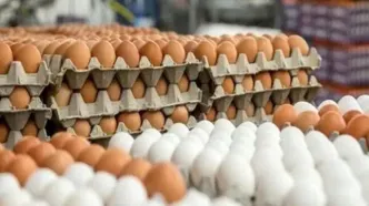 اعلام قیمت جدید تخم‌مرغ