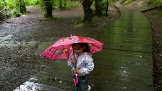 این استان‌ها منتظر رگبار و وزش باد باشند