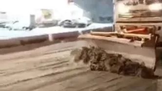 تصاویری از برف‌روبی و نمک‌پاشی محور کرج ـ کندوان