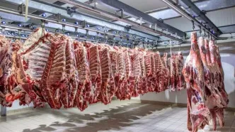 وضعیت واردات گوشت بعد از محاصره دریایی+ جزئیات