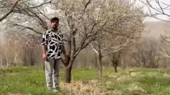 مژدگانی 10 میلیاردی برای یابنده خلبان آمریکایی