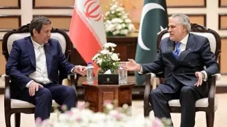 دیدار رئیس بانک مرکزی ایران، با معاون نخست‌وزیر پاکستان