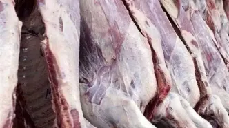 مجوز واردات گوشت برای شهرداری تهران صادر نشد