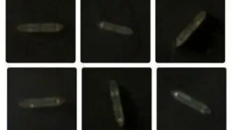 فوری/ عبور دوباره‌ی ۴ نفتکش ایرانی از محاصره دریایی