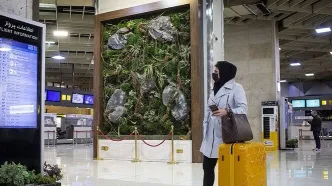 ضرب‌الاجل سازمان بازرسی به ایرلاین‌ها؛ پول بلیط‌ها بازگردانده شود